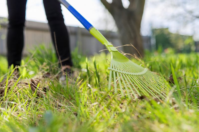 Increase Your Lawn Clean Up Service Business with an AI Driven, Targeted Website