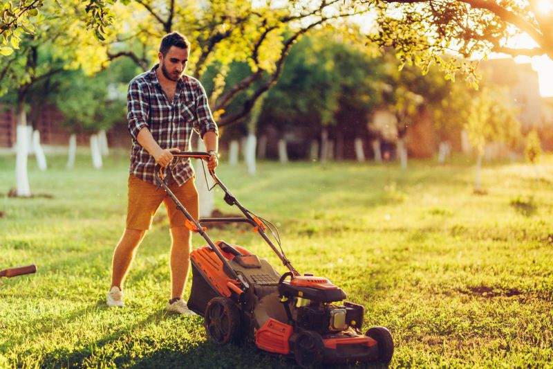 Seasonal Lawn Maintenance