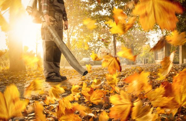 Leaf Blowing Service in Huntington Beach