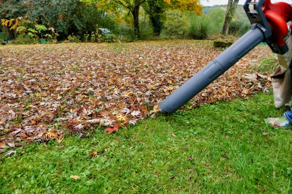 Leaf Vacuuming Service in Huntington Beach