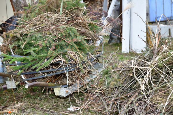 Yard Debris Removal in Huntington Beach