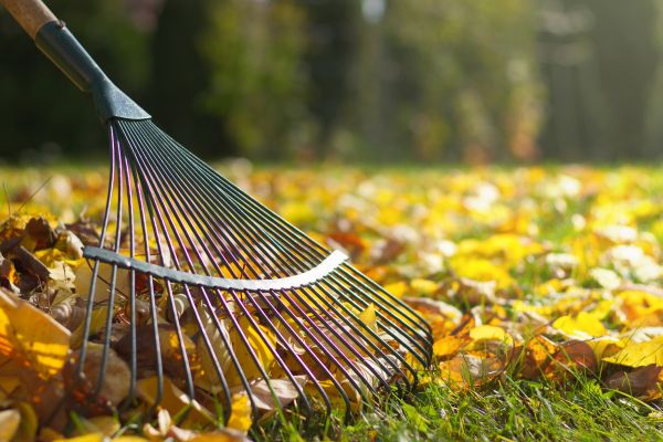 Leaf Raking Service in Huntington Beach