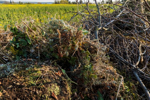 Brush Disposal in Huntington Beach