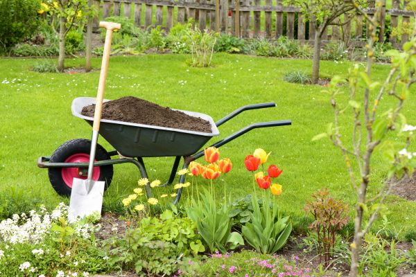 Spring Yard Cleanup in Huntington Beach