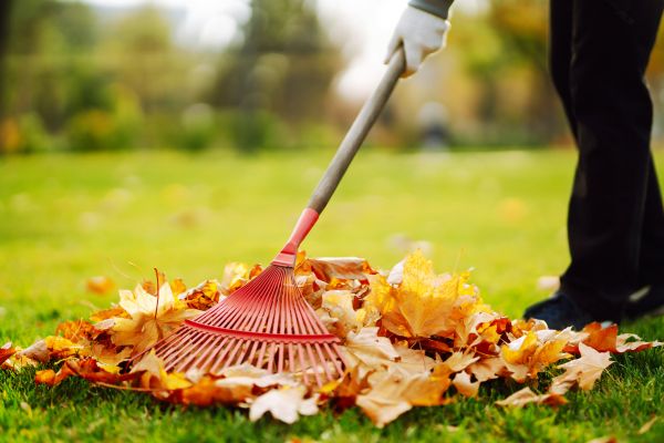 Ditch Leaf Removal in Huntington Beach