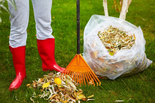 Leaf Disposal Service in Huntington Beach