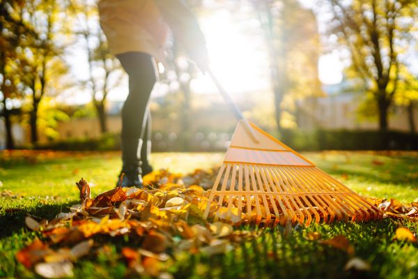 Leaves Raking in Huntington Beach