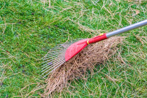 Yard Raking in Huntington Beach
