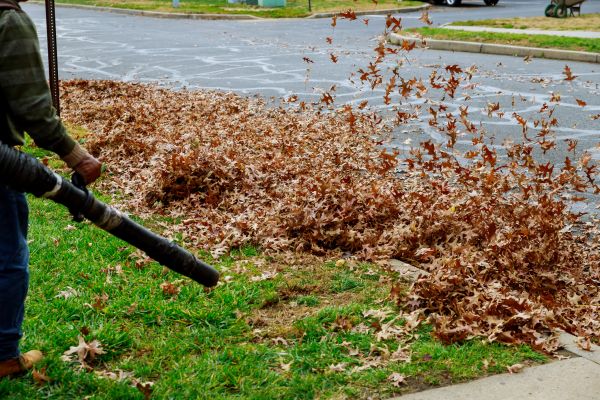 Garden Leaf Removal in Huntington Beach