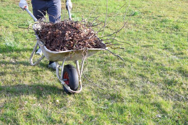 Yard Brush Removal in Huntington Beach
