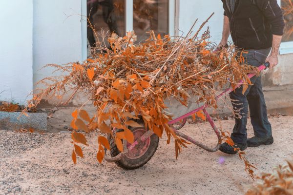 Lawn Debris Cleanup in Huntington Beach