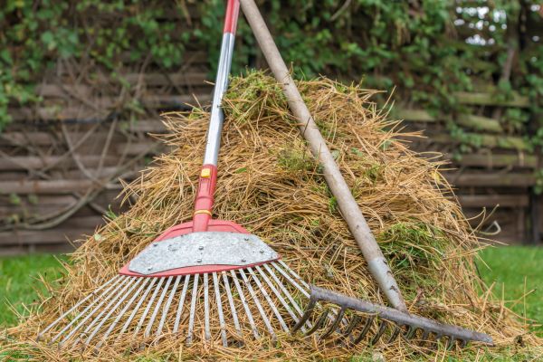 Pine Straw Clearing in Huntington Beach