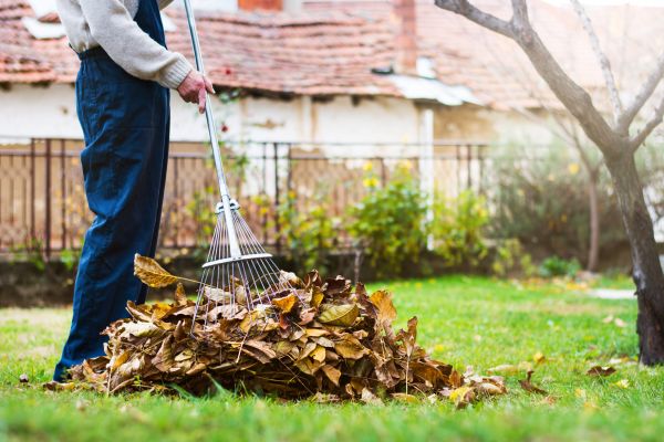 Spring Lawn Cleanup in Huntington Beach