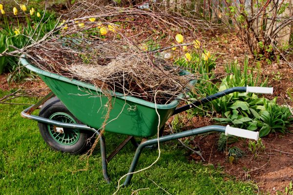 Lawn Waste Removal in Huntington Beach