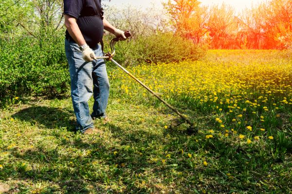 Cost of Yard Clearing Service in Huntington Beach