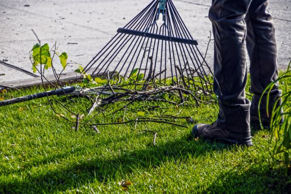 Yard Debris Cleanup in Huntington Beach