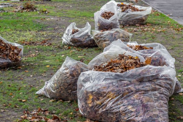 Leaf Pile Disposal in Huntington Beach