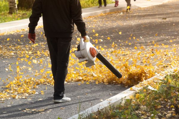 Commercial Leaf Removal in Huntington Beach